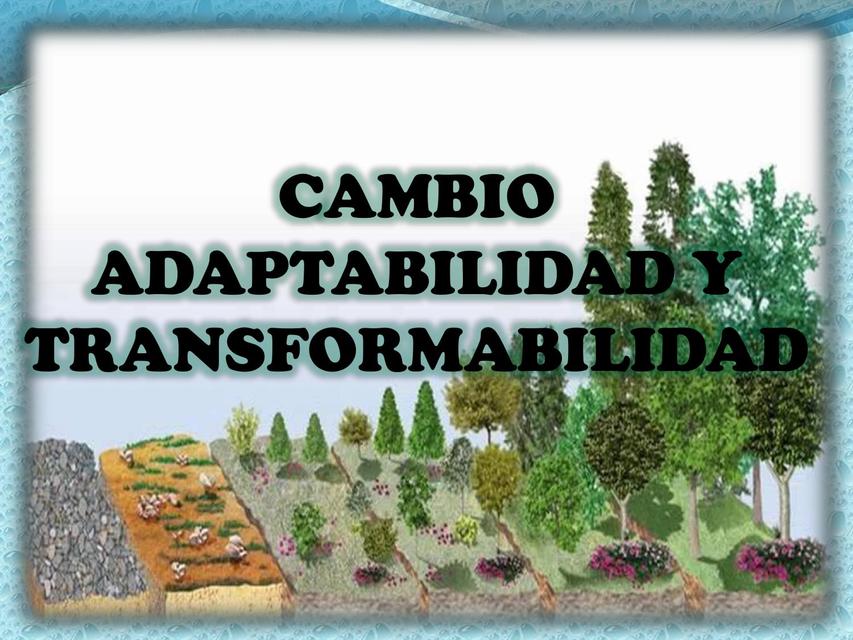 CAMBIO ADAPTABILIDAD Y TRANSFORMABILIDAD