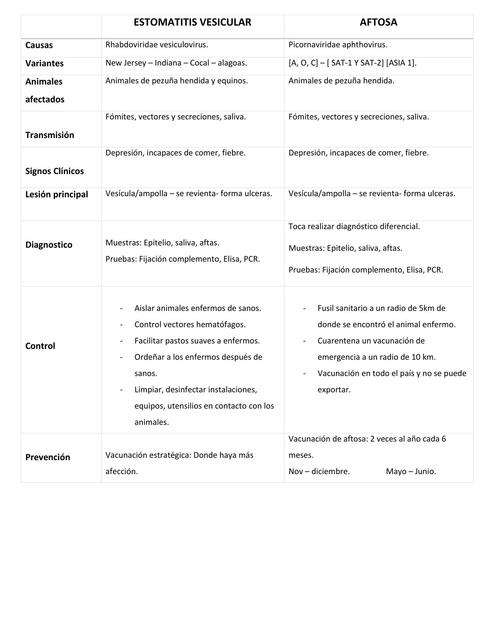 Estomatitis Vesicular Vs Aftosa