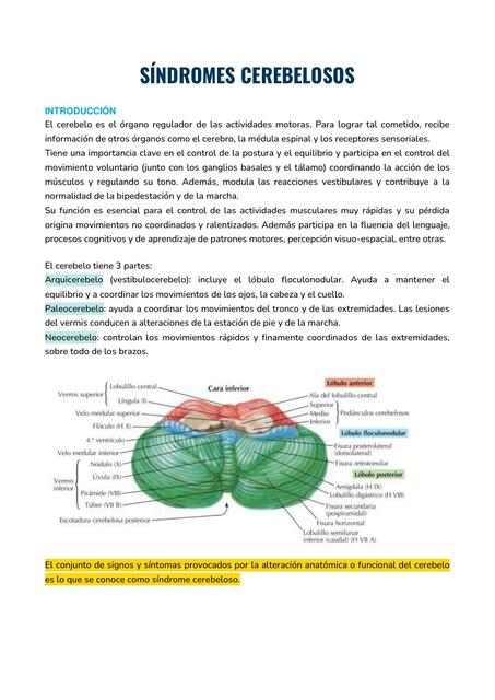 Síndromes Cerebelosos 