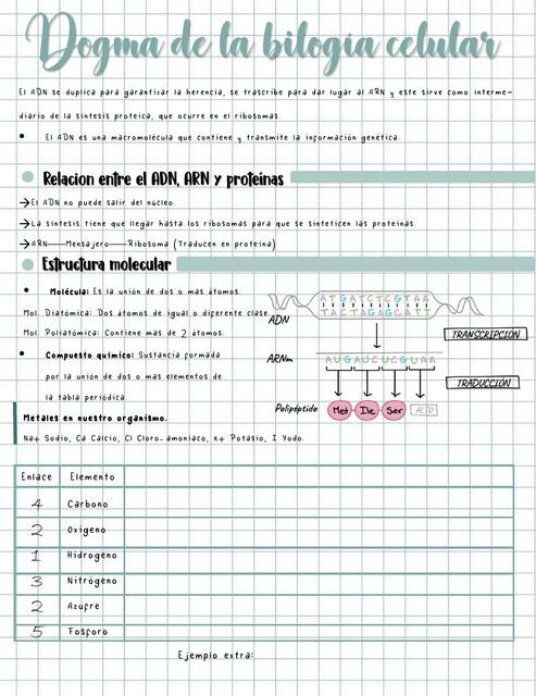 Dogma de la Biología Celular