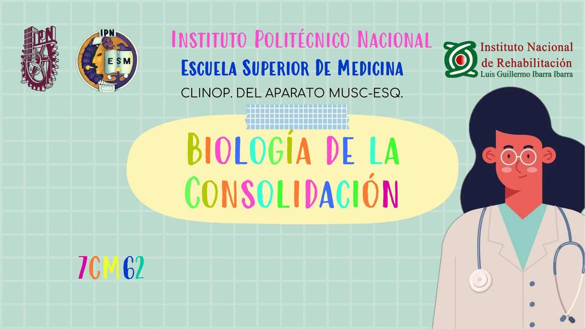 Biologia de la consolidación