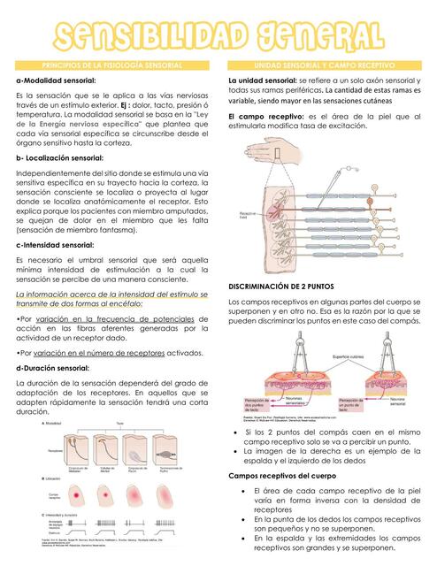 Resumen // Sensibilidad General