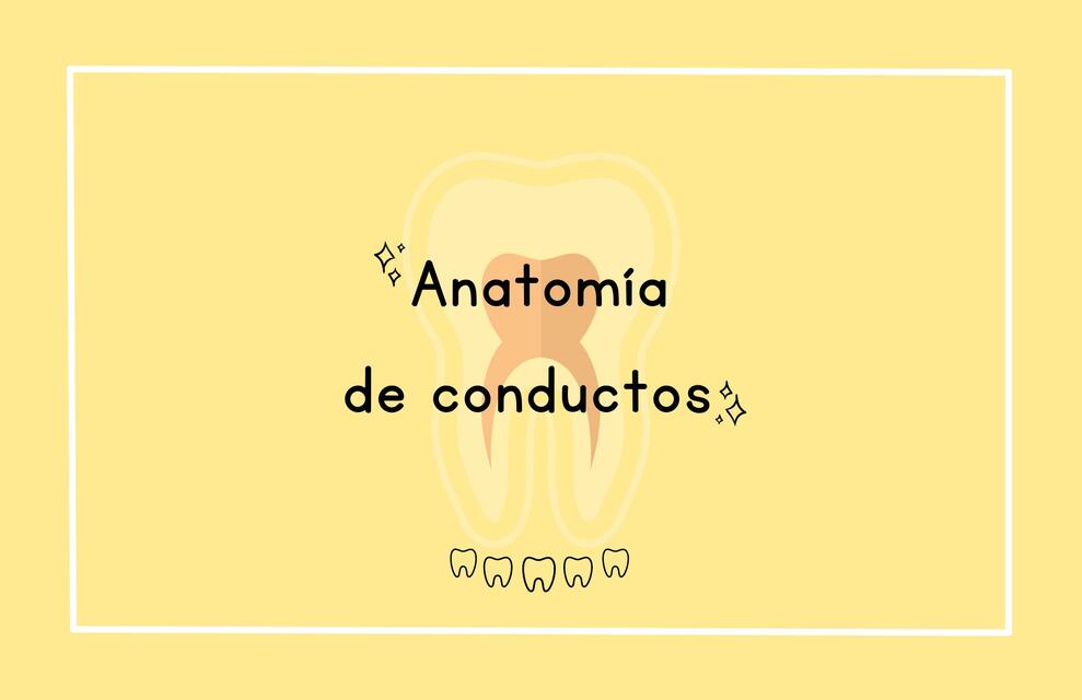 Anatomía de Conductos 