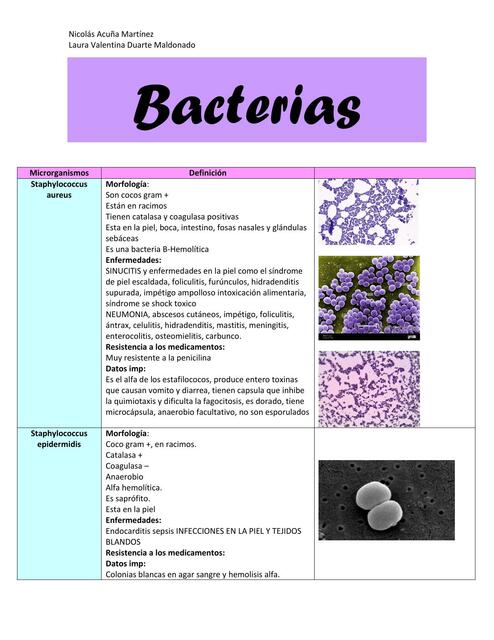 Tabla de Bacterias