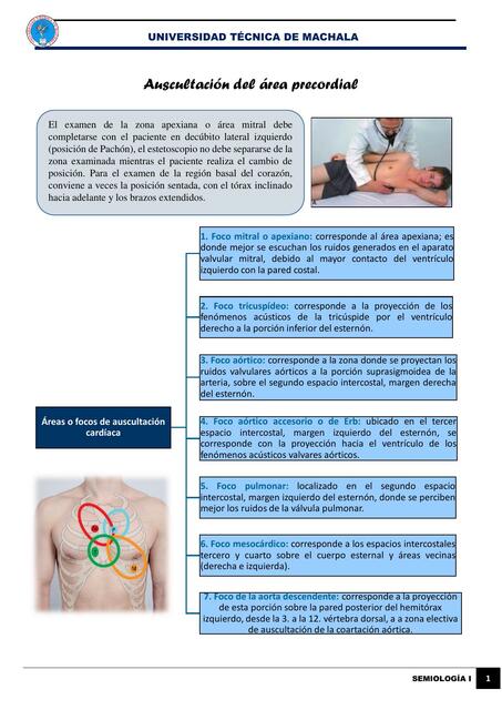 Auscultación del área precordial, soplos cardíacos y clasificación, otros ruidos agregados