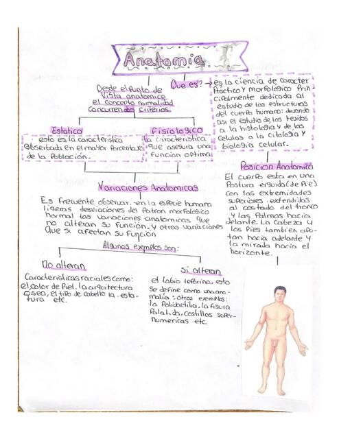  Anatomía Humana Generalidades