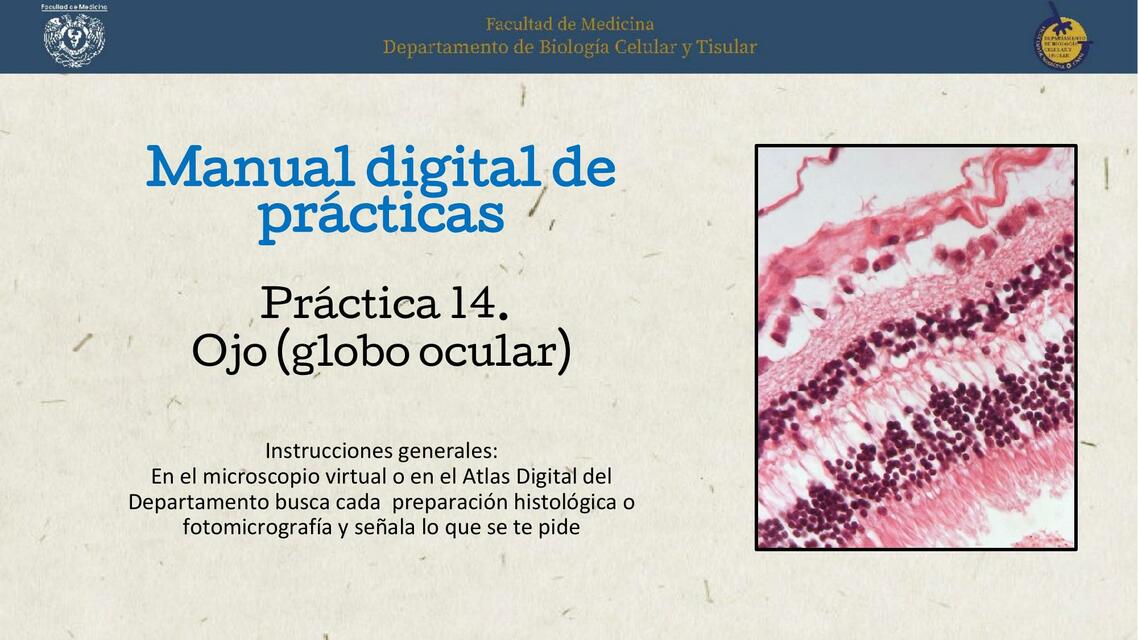 Manual digital de prácticas