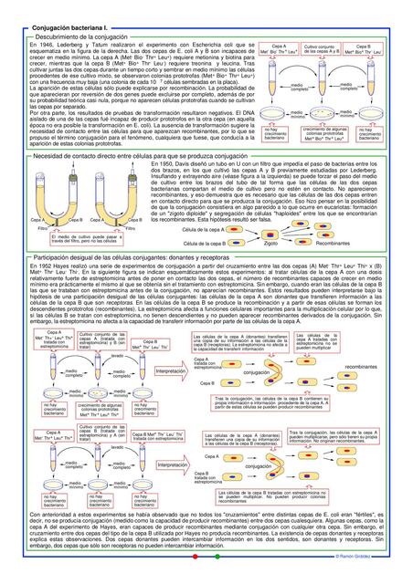 Conjugación bacteriana