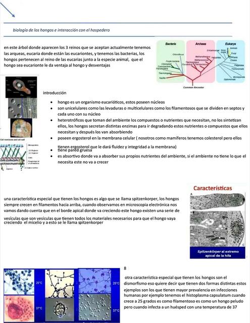 Biología de los Hongos e Interacción con el Hospedero 