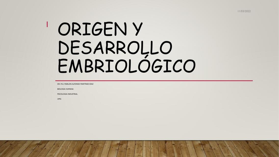 Origen y Desarrollo Embriológico