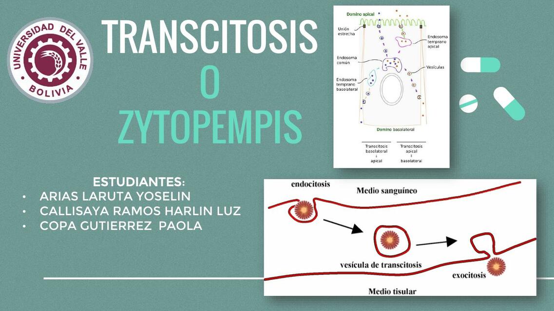 Zytopempis