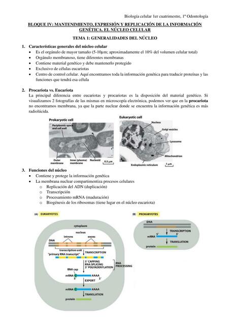  Biología celular