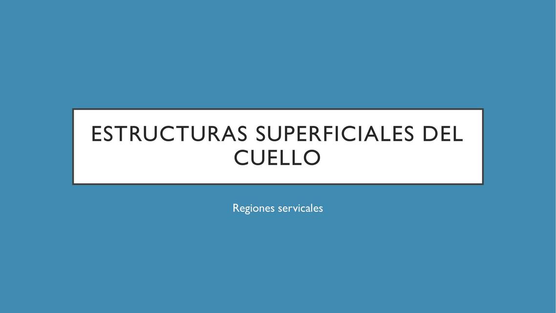 Estructuras superficiales del cuello