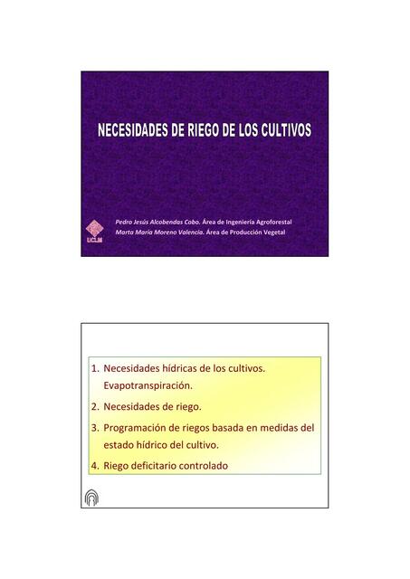 Necesidades de Riego de los Cultivos 