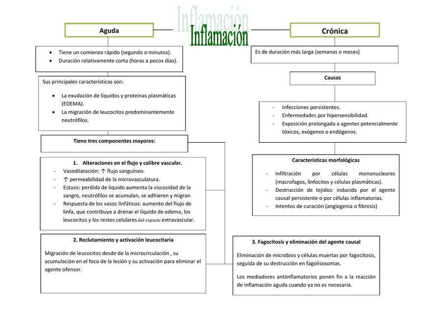 Inflamación 