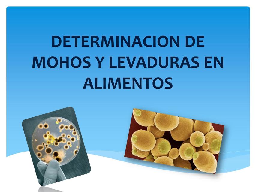 DETERMINACION DE MOHOS Y LEVADURAS EN ALIMENTOS