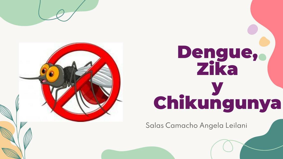 Dengue, Zika y Chikungunya