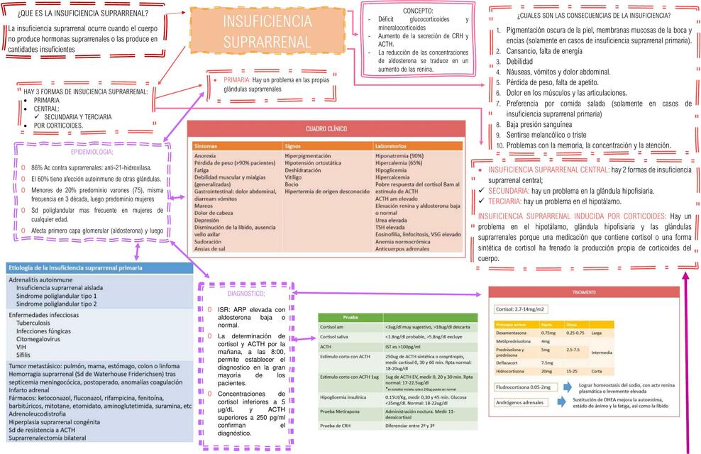 Insuficiencia Suprarrenal 