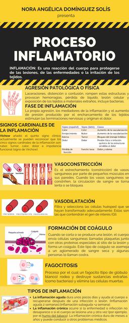 Proceso Inflamatorio 