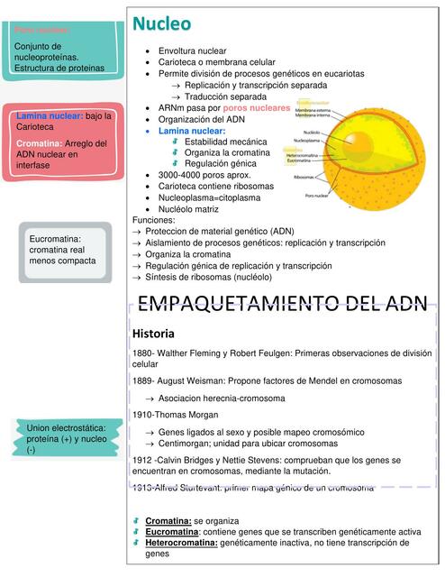 Biologia Básica