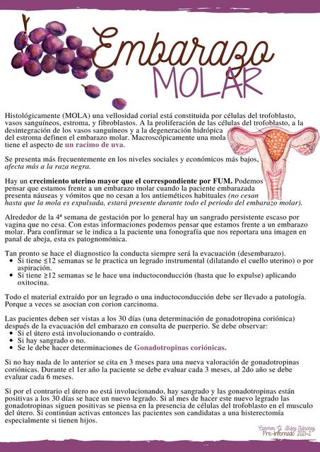 Embarazo Molar