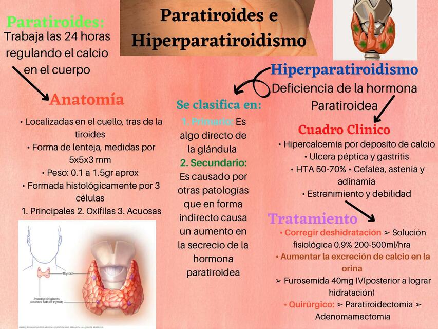 Paratiroides e Hiperparatiroidismo