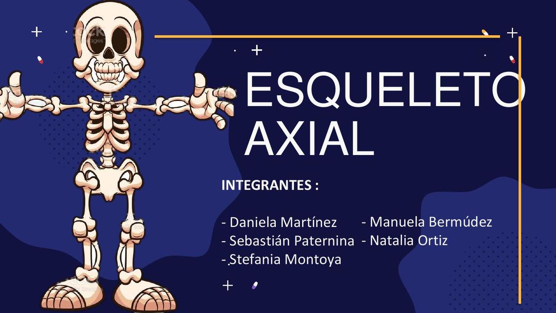  Esqueleto Axial 