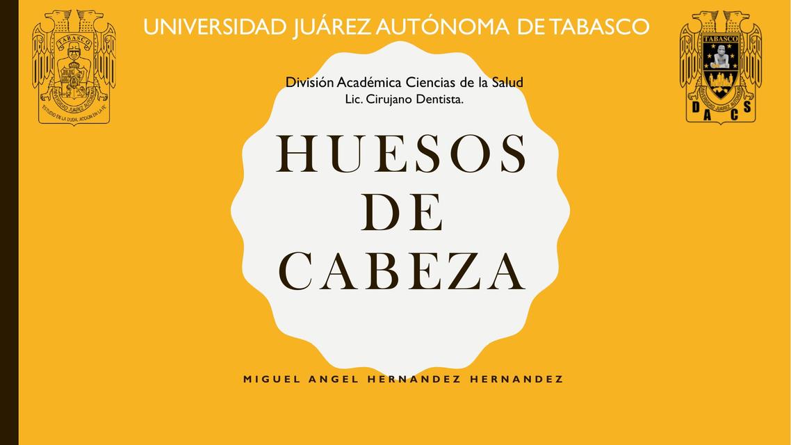 HUESOS DE CABEZA