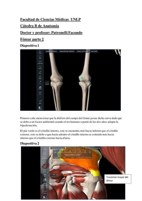 Osteología