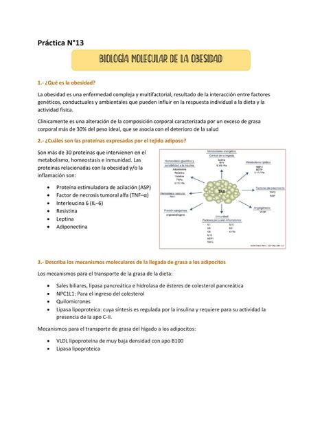 CUESTIONARIO BIOLOGÍA MOLECULAR DE LA OBESIDAD