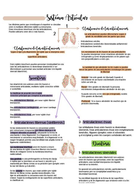 Sistema Articular 