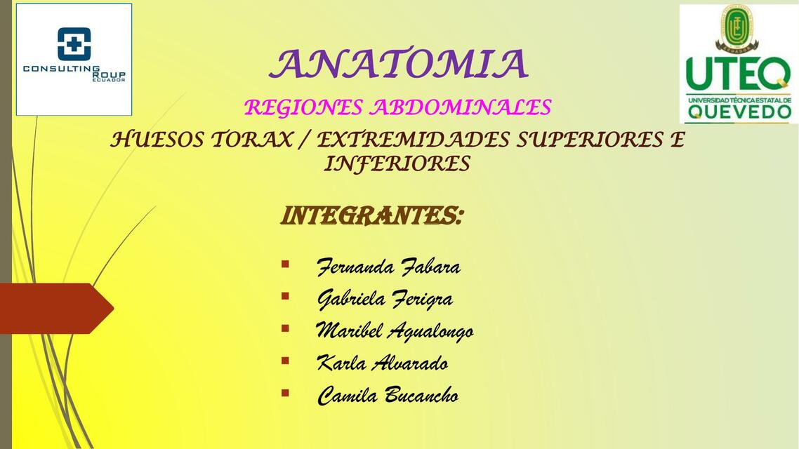 Anatomía 