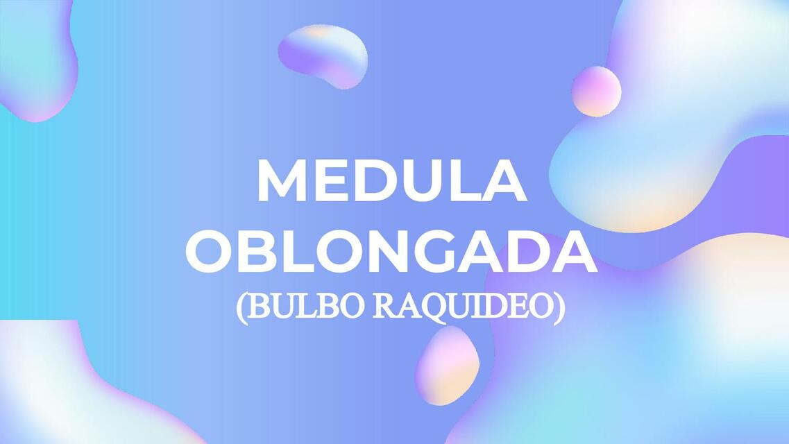 Bulbo Raquídeo