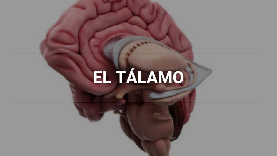 El Tálamo 