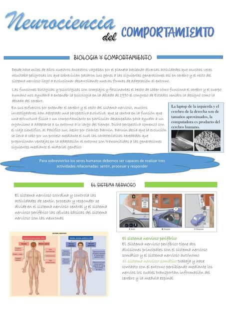 Neurociencia del Comportamiento