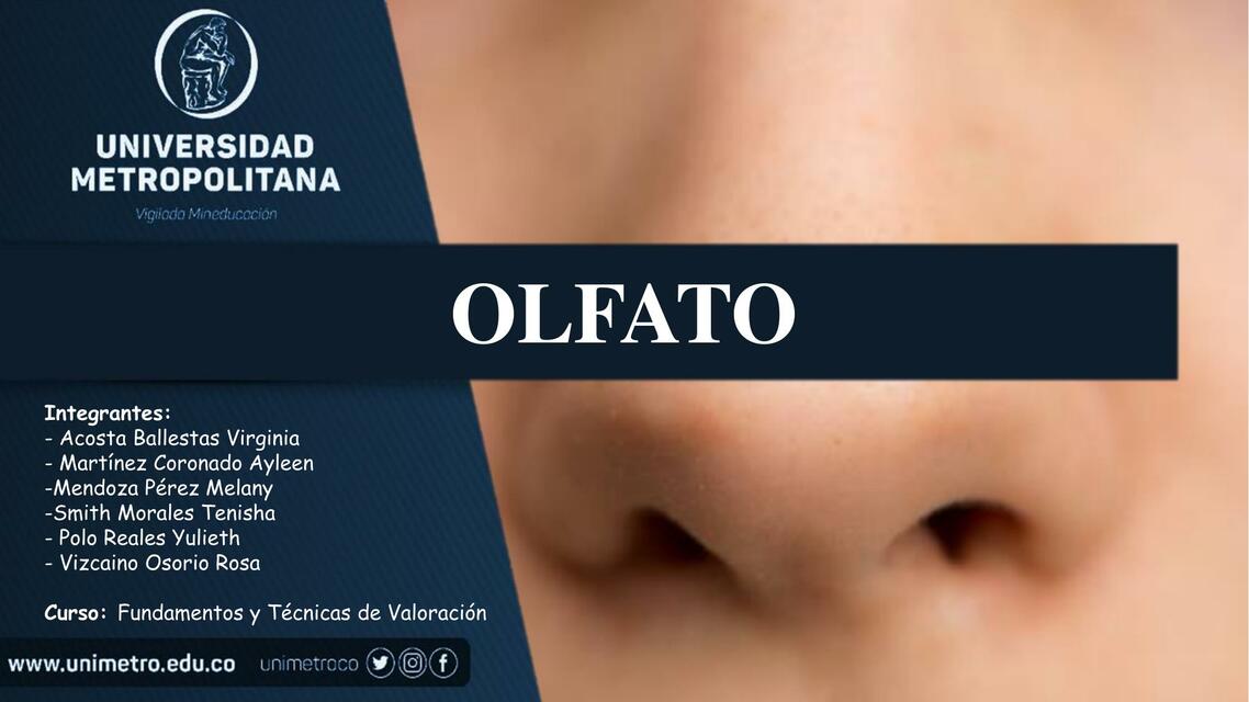 Olfato