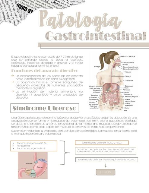 Patología Gastrointestinal