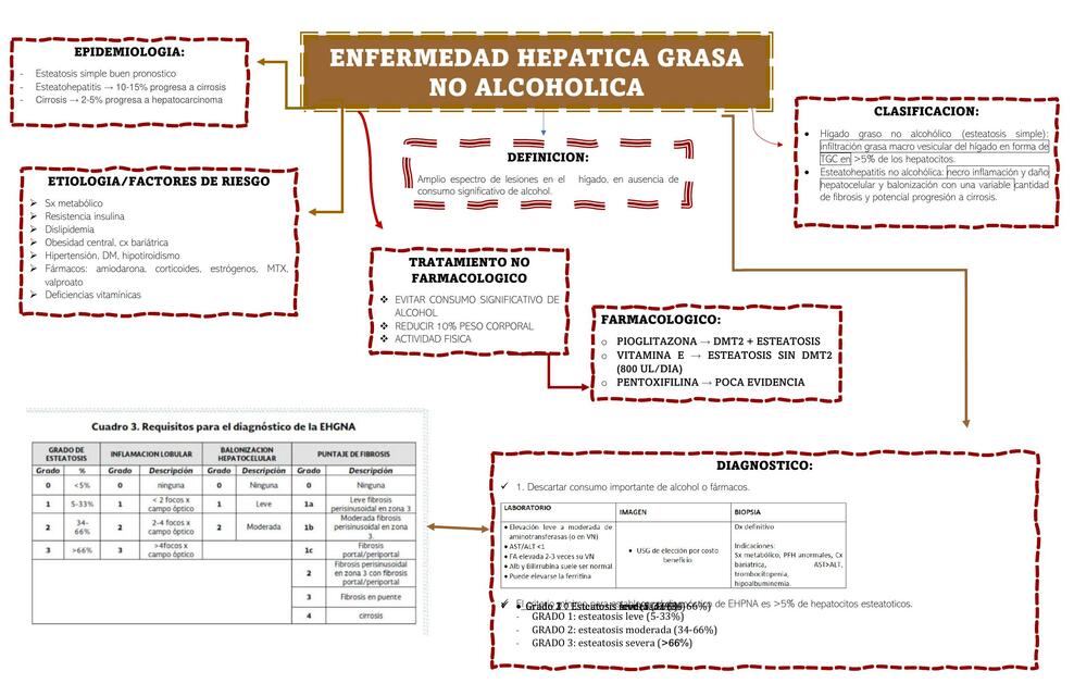 Enfermedad Hepática Grasa no Alcohólica