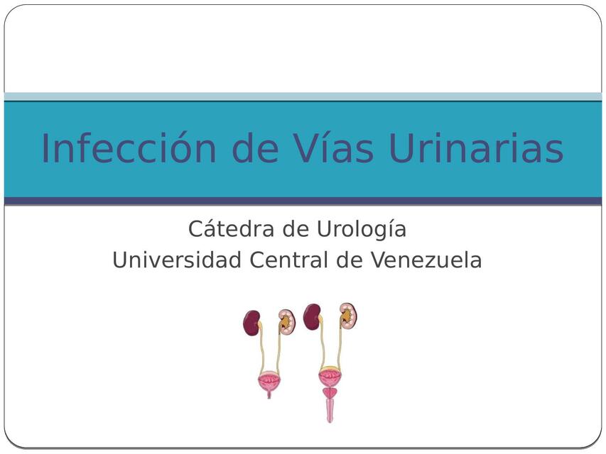 Infecciones Urinarias