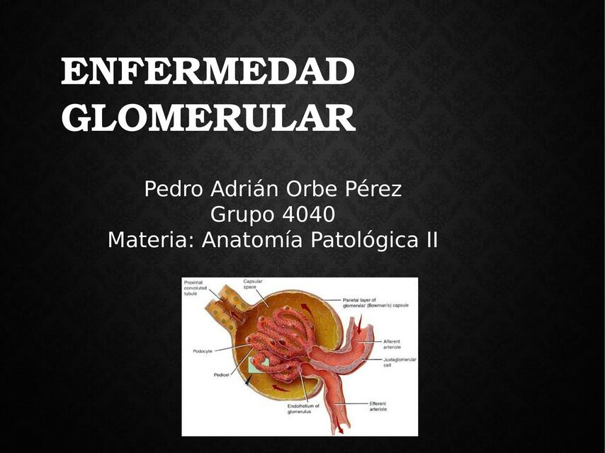 Enfermedades del Glomérulo