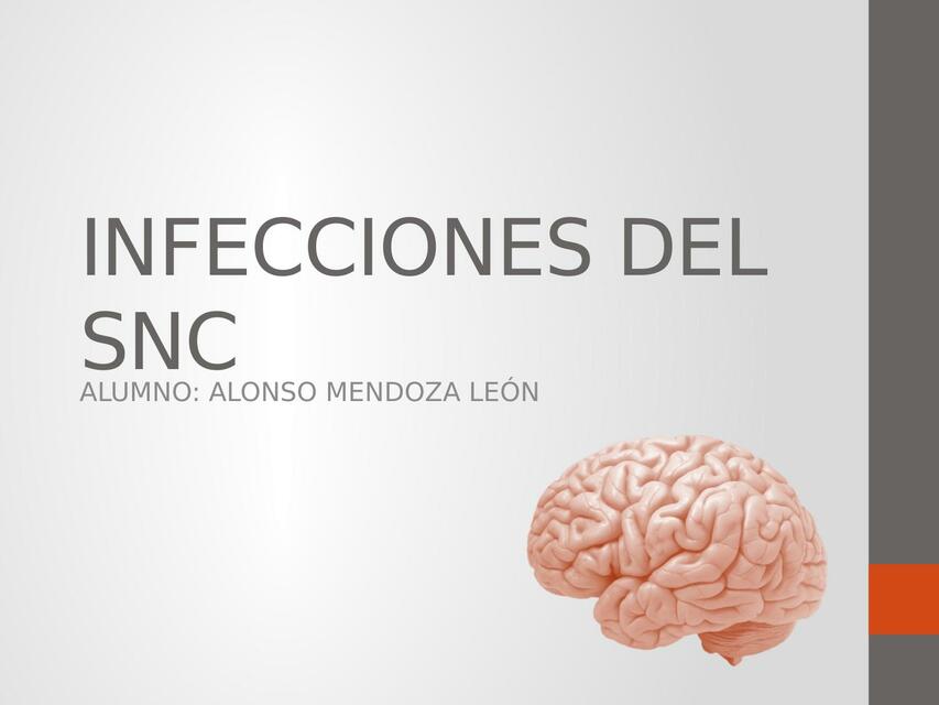 Infecciones del SNC