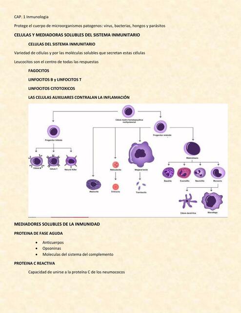 Resumenes Inmunología Innata y Adaptativa