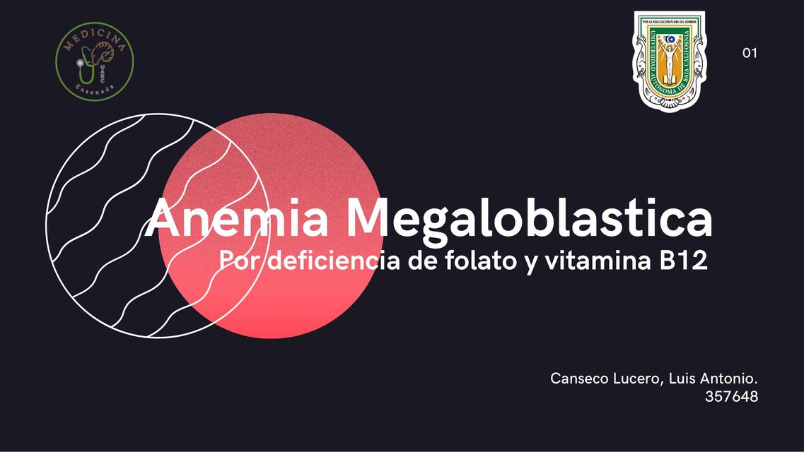 Anemia Megaloblastica