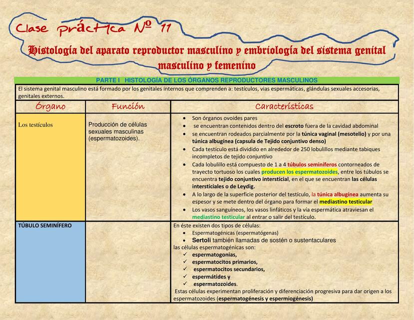 Histología de los Aparatos Reproductores