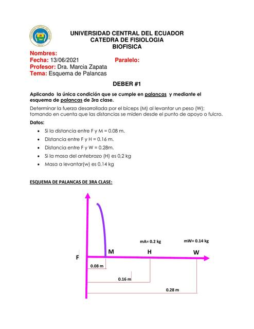 Esquema de palancas