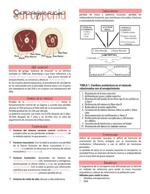 Sarcopenia