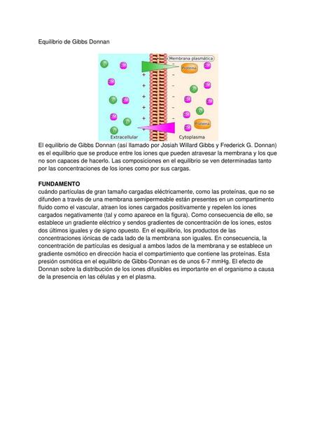 Equilibrio de Gibbs Donnan