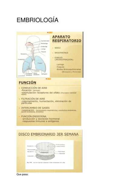 Embriología