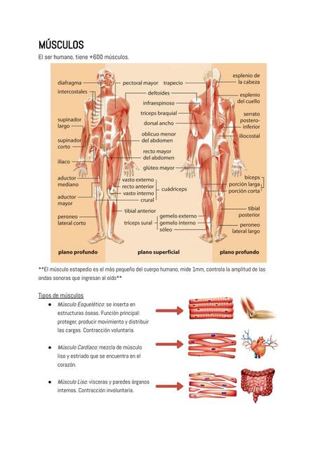 Fibromialgia