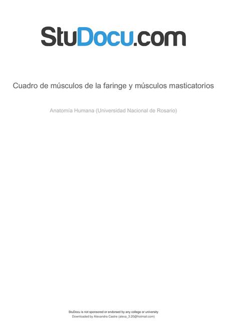 Cuadro de Musculos de la Faringe y Musculos Masticatorios